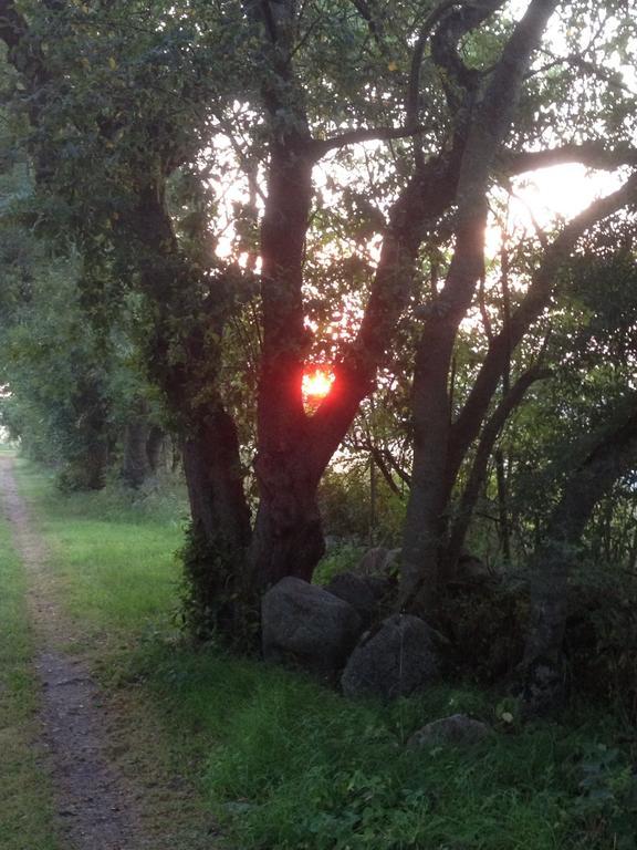 Paradiset Oestra Oeland Nedra Sandby Luaran gambar